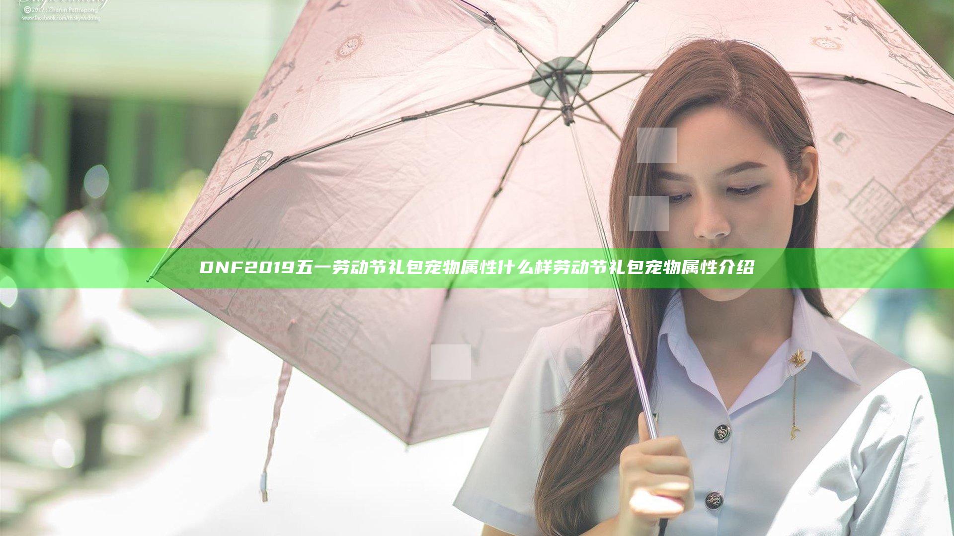 DNF2019五一劳动节礼包宠物属性什么样 劳动节礼包宠物属性介绍