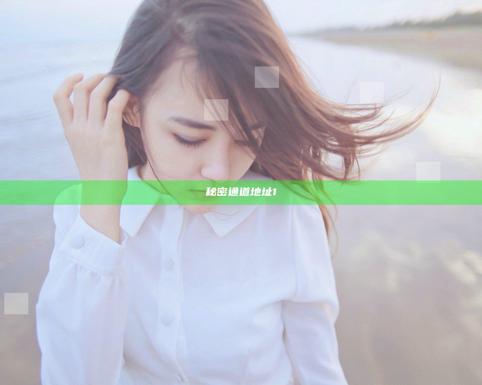 秘密通道地址1