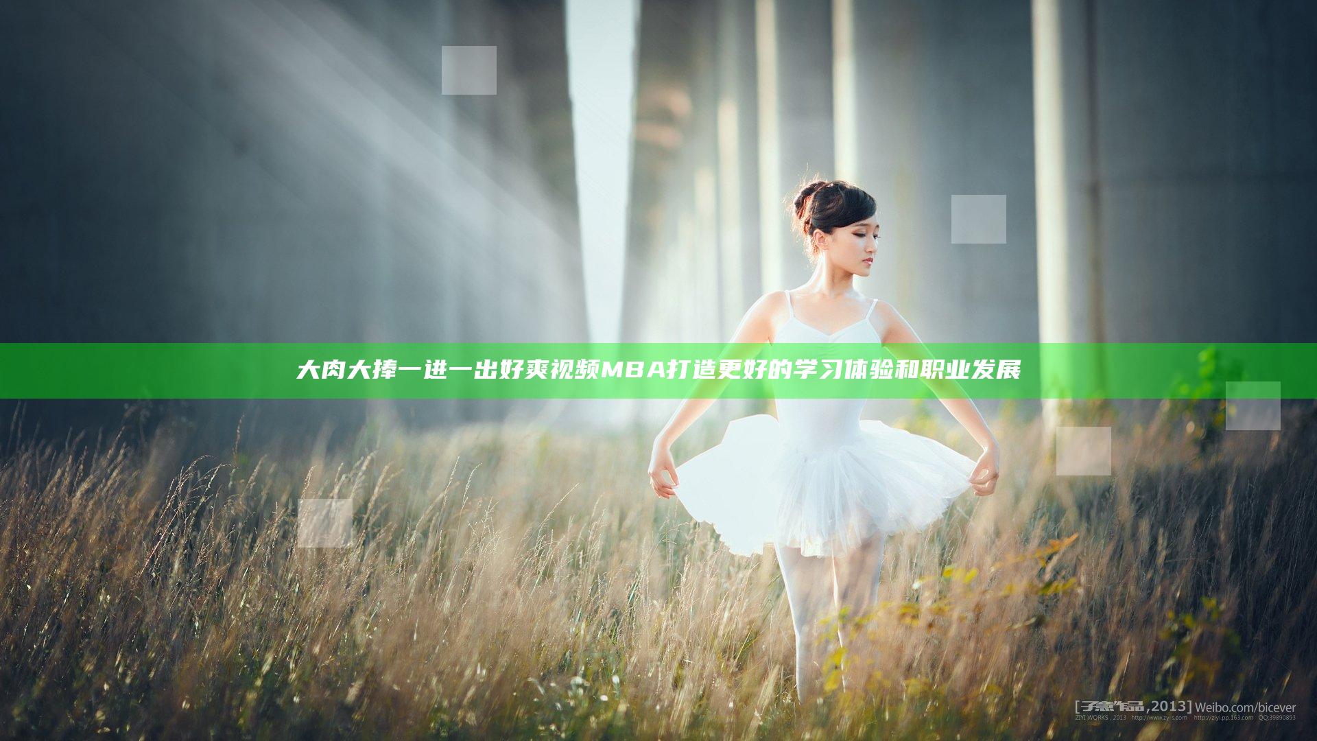 大肉大捧一进一出好爽视频MBA打造更好的学习体验和职业发展