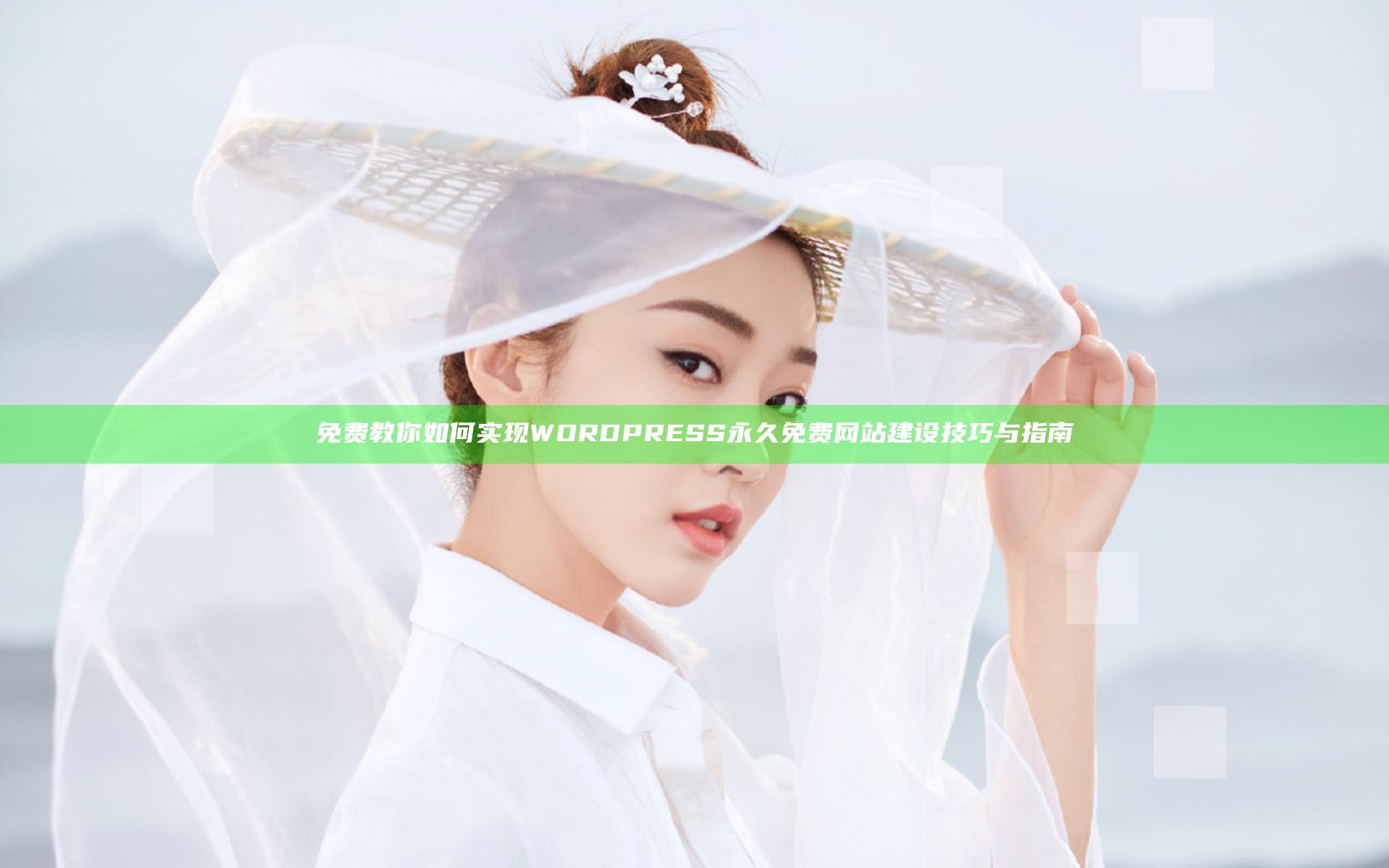 免费教你如何实现WORDPRESS永久免费网站建设技巧与指南