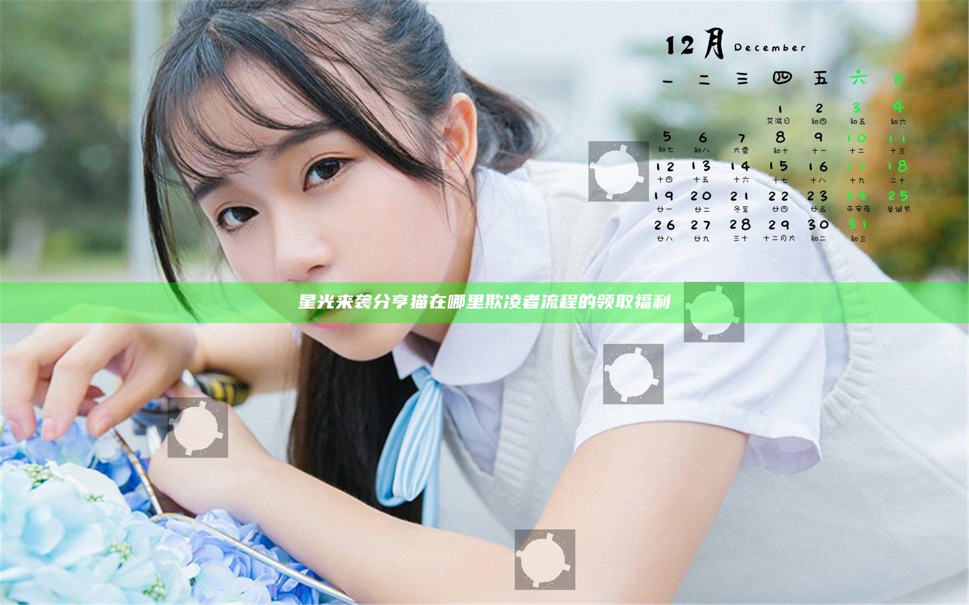 星光来袭 分亨猫在哪里欺凌者流程的领取福利